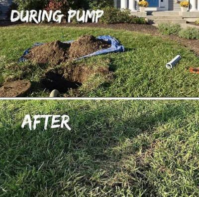 The yard before and after pumping shows grass returned to initial state.